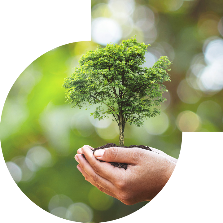 关怀人类、文化、环境与社会